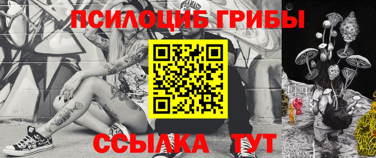 Псилоцибиновые грибы Psilocybe  Вход с VPN  Зеленогорск 
